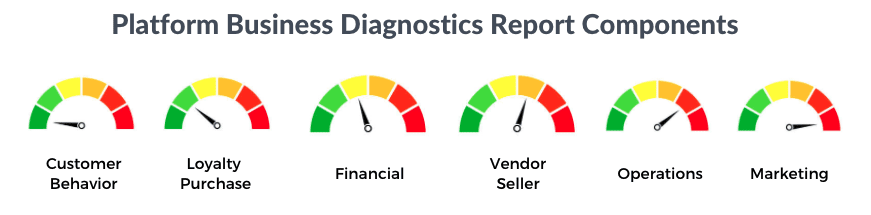 Platform Business Diagnostic Report Components